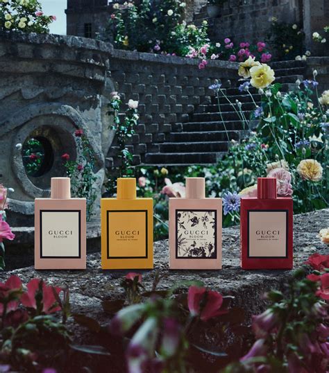 gucci flowers profumo|is gucci bloom good.